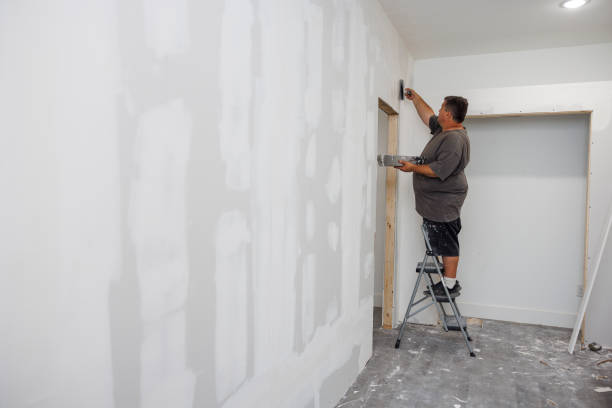 Best Crawl Space Mold Remediation  in Burlington, ND