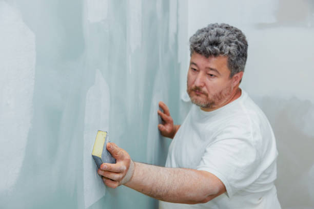 Best Mold-Related Health Consultation  in Burlington, ND
