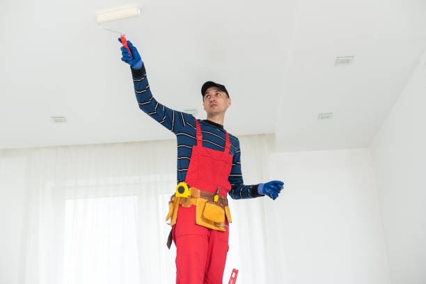 Best Biohazard Mold Removal  in Burlington, ND