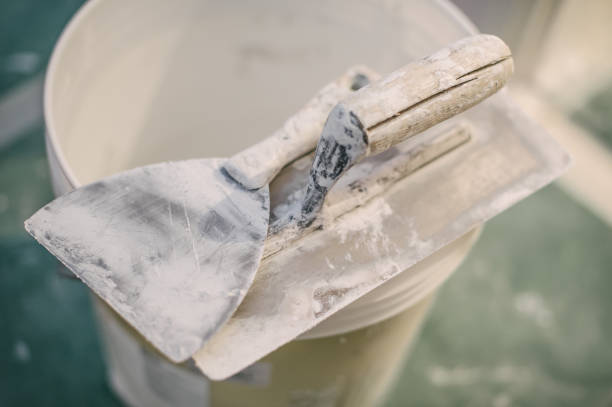 Best Mold Prevention Services  in Burlington, ND